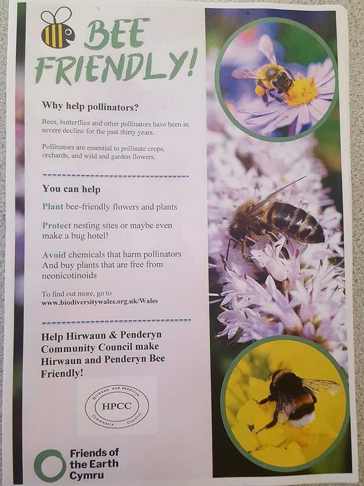 bee friendly information poster