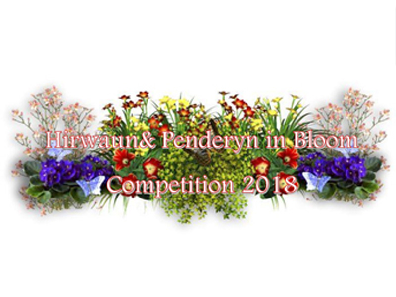 In Bloom Competition