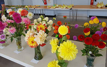 Annual Garden Show 2017