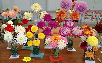 Annual Garden Show 2016