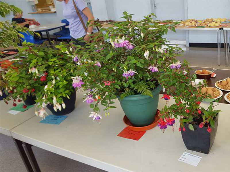 Annual Garden Show 2018