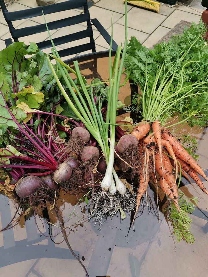 Virtual Garden Show 2020