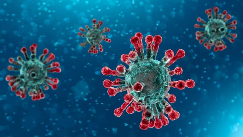 Coronavirus Update - Part 2