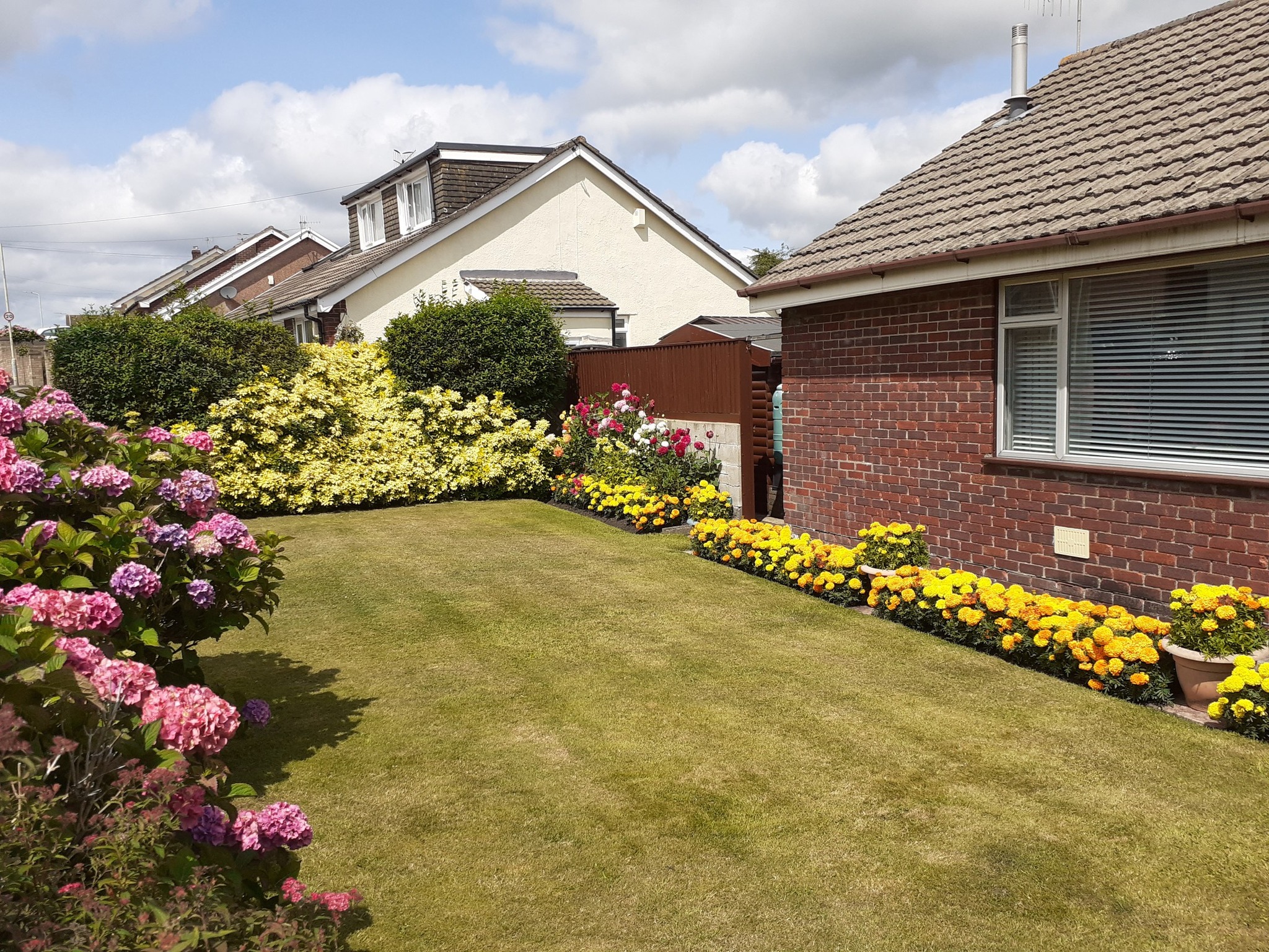 Hirwaun & Penderyn in Bloom