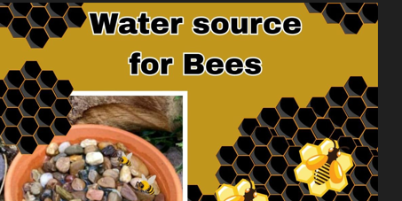 Water Sources for Bees