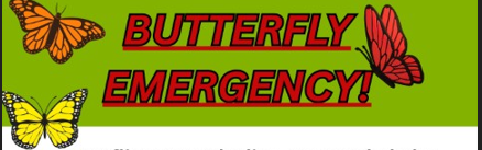 Butterfly Emergency