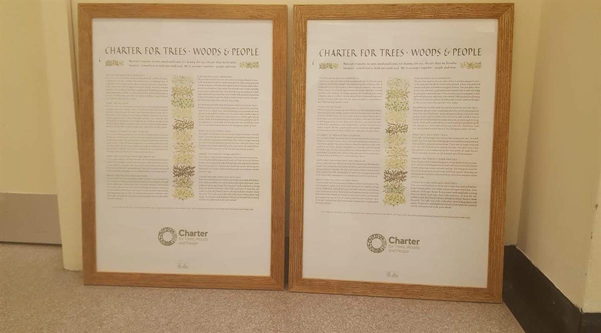 tree charter frames