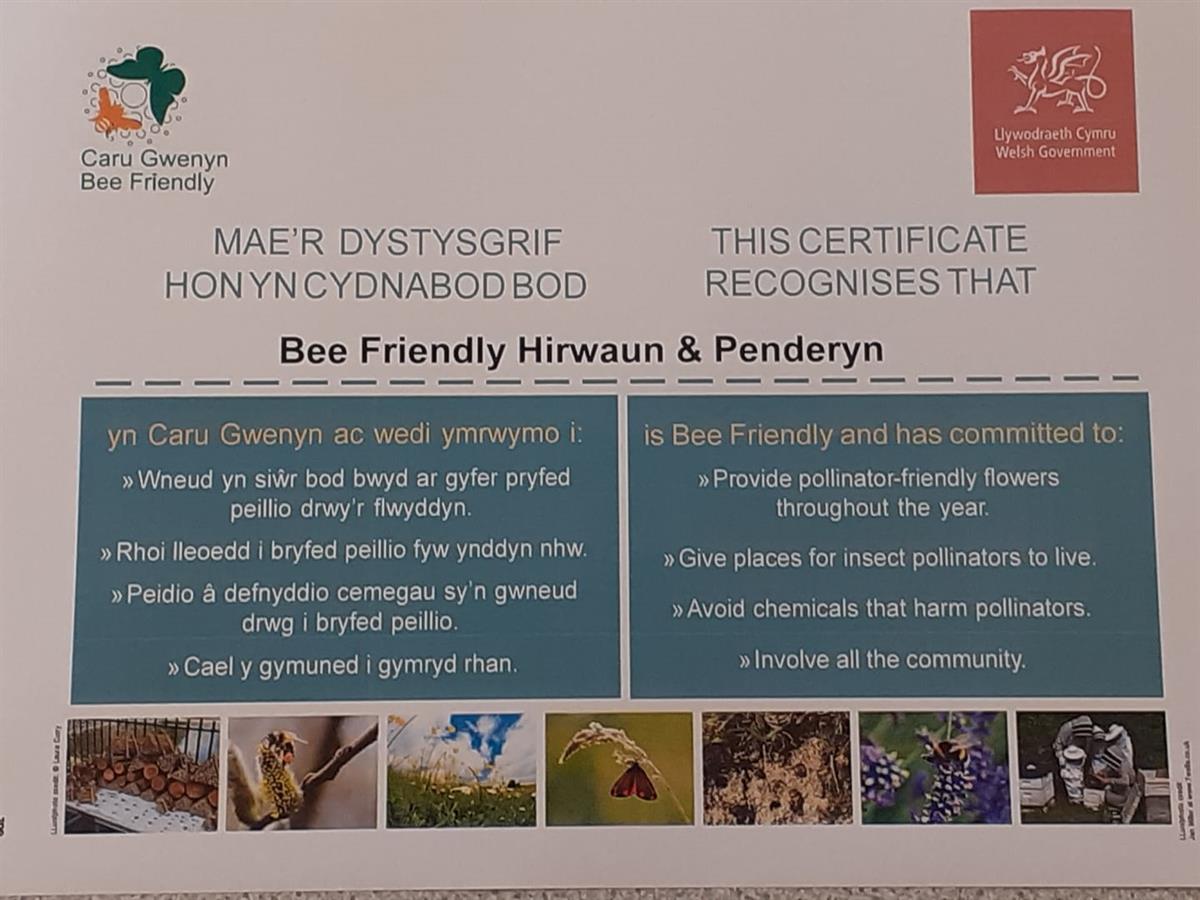 bee friendly poster